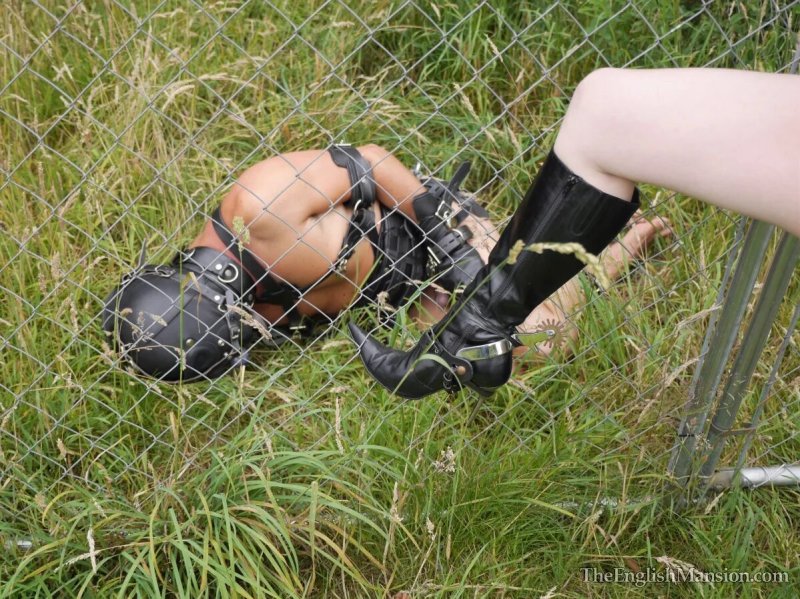 BDSM Pondley