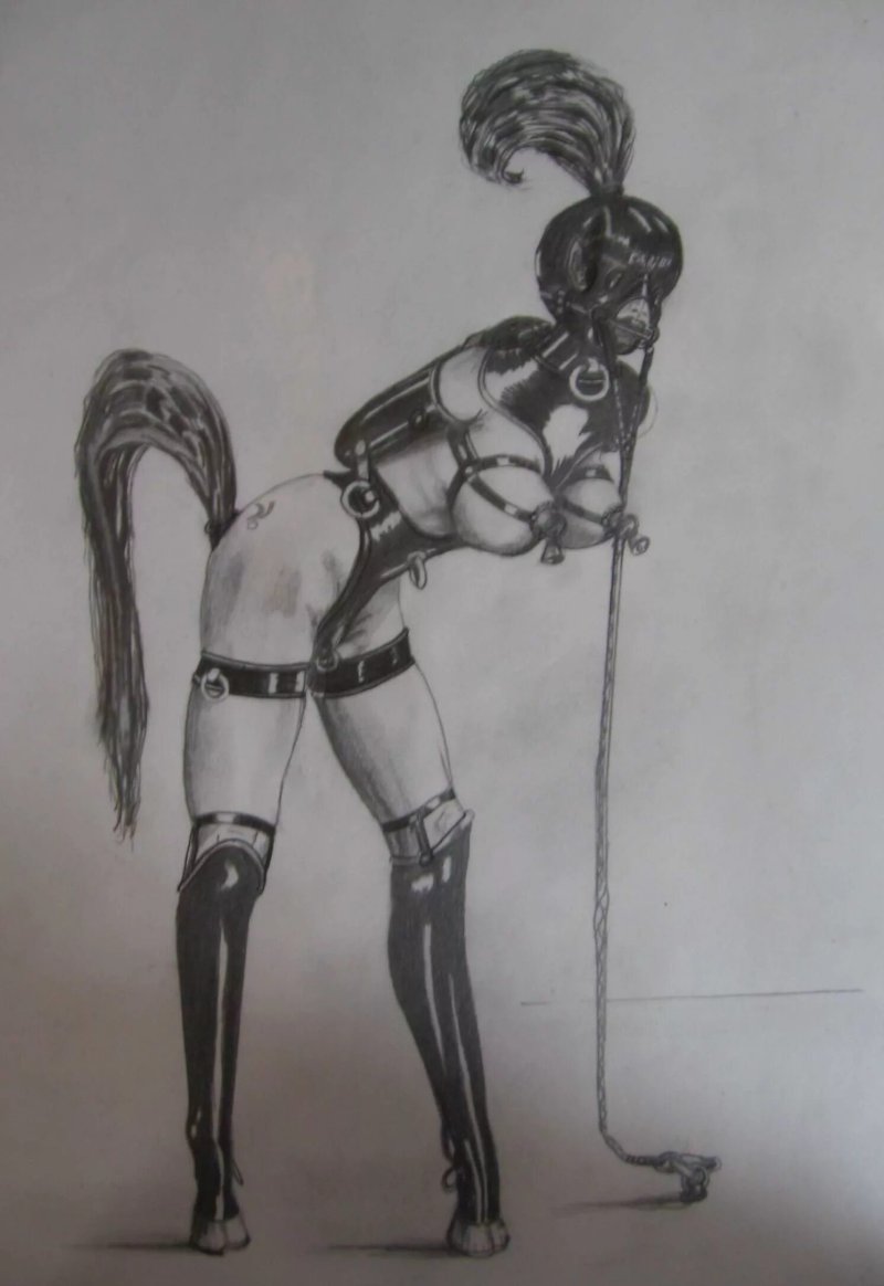 Fantastic BDSM drawings