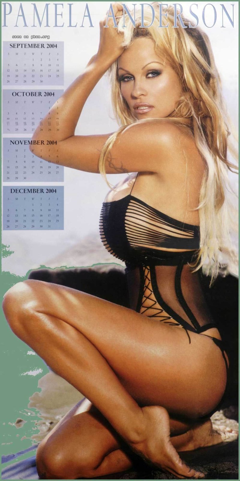 Pamella Anderson