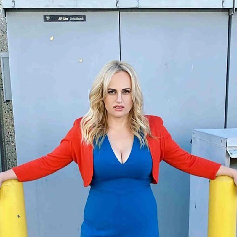 Rebel Wilson lost weight