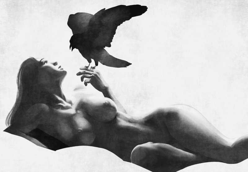 Girl with a bird