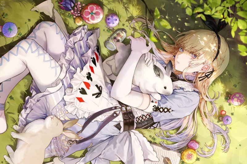 Alisa Wandereland Anime